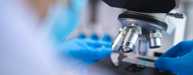 Una mano con guantes azules ajusta un microscopio en un laboratorio. Se pueden ver varias lentes en el microscopio, mientras un fondo desenfocado sugiere un ambiente de investigación científica.